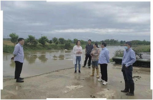 黃陂區(qū)科學(xué)應(yīng)對(duì)暴雨來(lái)襲，多措并舉筑牢防汛排澇安全防線